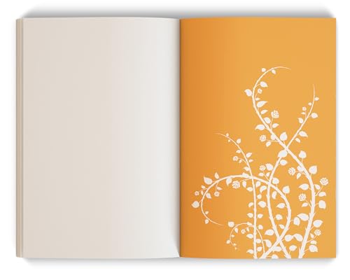 Glint (The Plated Prisoner, 2)
