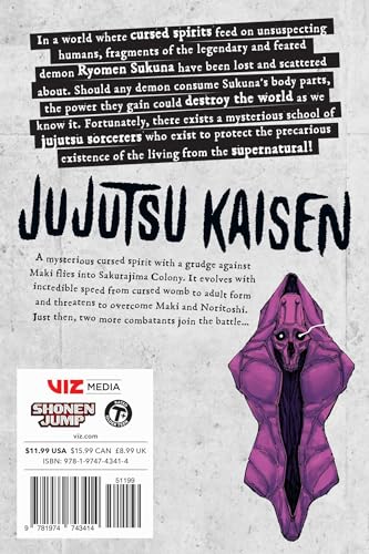 Jujutsu Kaisen, Vol. 22 (22)