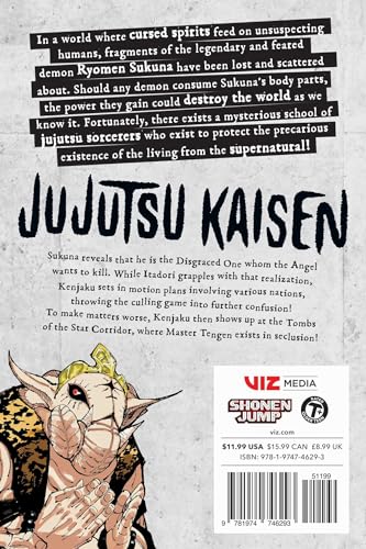 Jujutsu Kaisen, Vol. 23 (23)