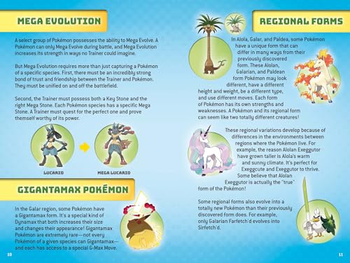 POKEMON: SUPER DUPER EXTRA DELUXE ESSENTIAL HANDBOOK (Pokemon)