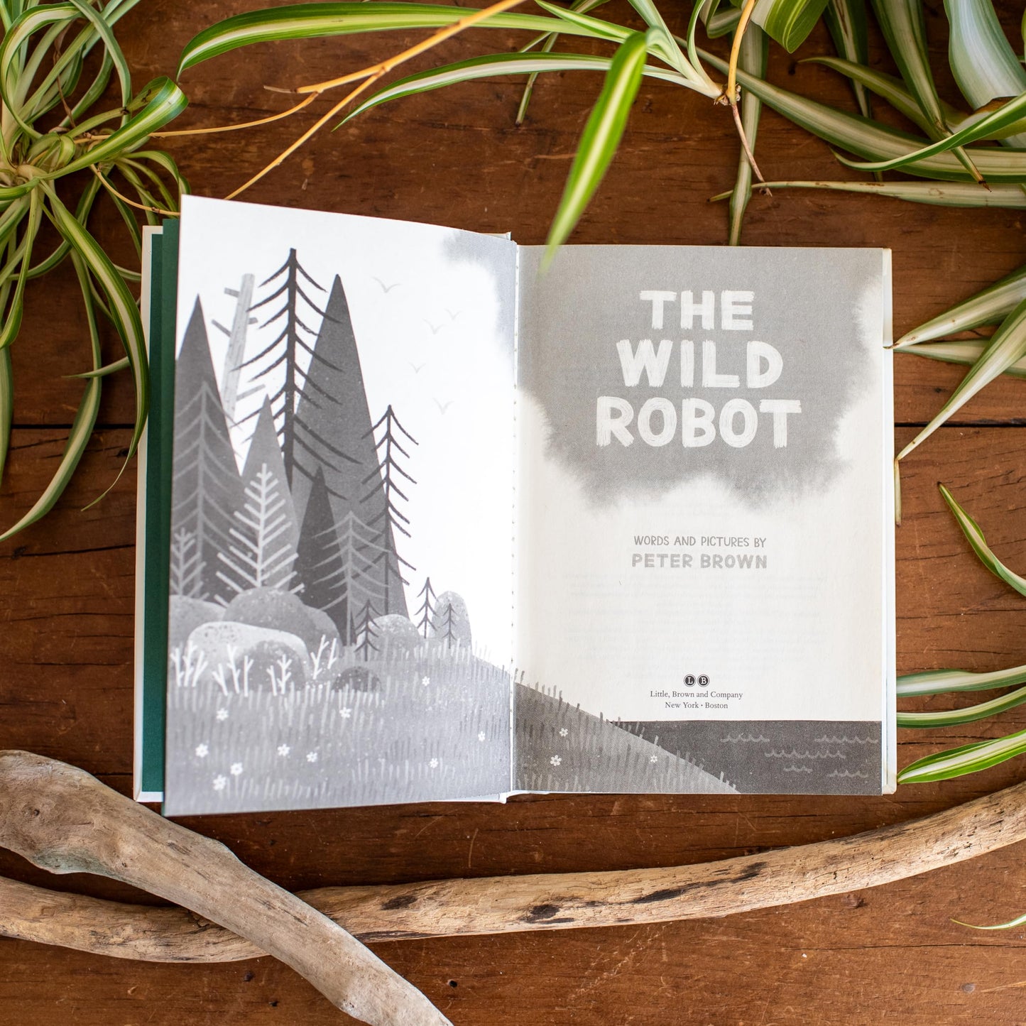 The Wild Robot (Volume 1) (The Wild Robot, 1)