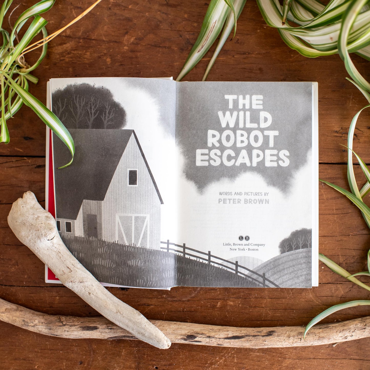 The Wild Robot Escapes (Volume 2) (The Wild Robot, 2)